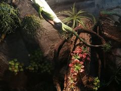 -常州海昌海洋探索馆