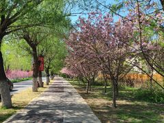 -天津东丽湖风景区