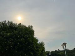 -南国桃园旅游度假区