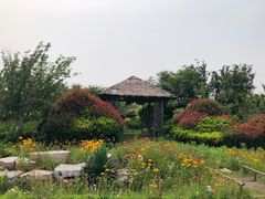 -西海岸生态观光园