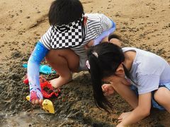-碧海金沙