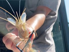 -SHRIMP CLUB万东餐饮钓虾·清吧