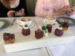 -蝶舍·MAISON PAPILLON