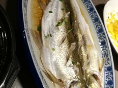 清蒸白水鱼-品渔味湖鲜馆(拈花湾店)