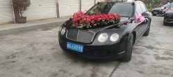 -蚂蚁婚车