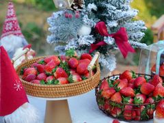 -菲尔雪CAKE(九方店)