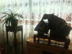 -北京俪婴妇产医院(朝阳大悦城店)