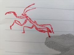 -上海昆虫博物馆