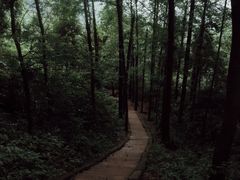-青城山