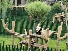 -沈阳森林动物园