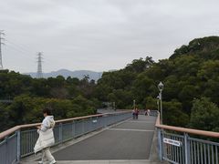 -金鸡山公园