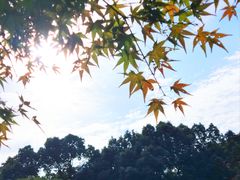 -浙江大学(玉泉校区)