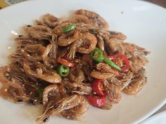 -七菜馆·东北菜·蒸饺(文体路店)