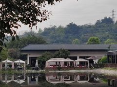 -张坝桂圆林公园