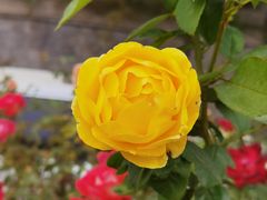 -北京植物园南门售票处