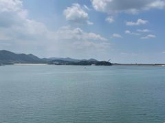 -望湖烤鱼