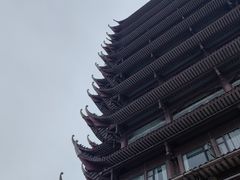 -眉山湿地公园(东坡区)