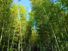 -陶祖圣境风景区