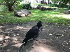 -北海道厅旧本厅舍(旧本庁舎)