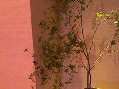 -舒小悦·舒养SPA·古法推拿(光环中心店)