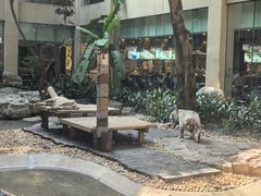 -麒麟中餐厅·经典粤菜·地道菜式老字号(广州长隆酒店)