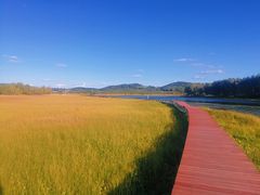 -塞罕坝国家级自然保护区