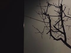 景观位-云水瑶意境云南菜(柏威年购物中心店)