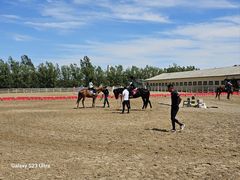 -北京群众马术培训基地