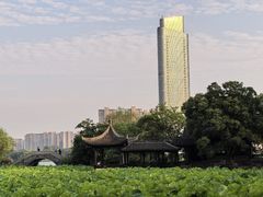 -高子水居