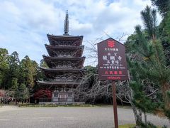 -醍醐寺