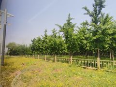 -国家植物园(地铁站)