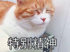 -布莱诺(中央大道店)