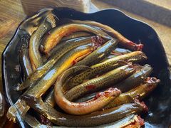 -铜元老码头鳝鱼火锅