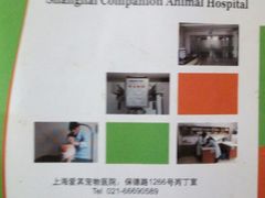 -爱侣宠医·鹦鹉专科·小型哺乳类·异宠专科(灵石路店)