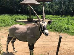 -大连森林动物园