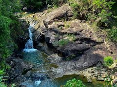 -广州白江湖森林公园