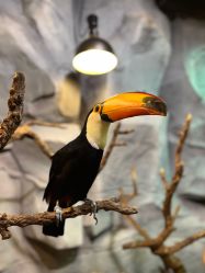 -Zoolung Zoolung动物主题公园(海信广场店)