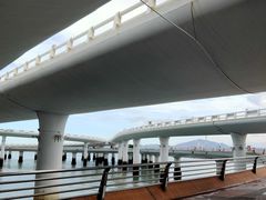 -演武大桥观景平台