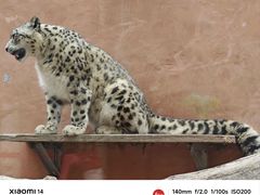 -青藏高原野生动物园
