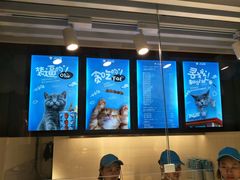 -开心猫无锡三阳广场店