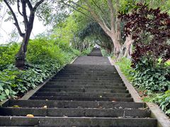 -海口火山口国家地质公园