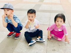 -广东茂名森林公园