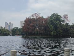 -荔湾湖公园
