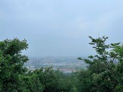 -杭州半山国家森林公园