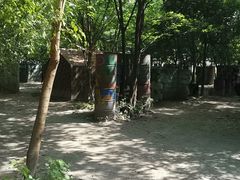 -勇士之星真人CS·团建·拓展(清水河公园店)