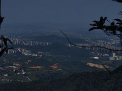 -午潮山国家森林公园