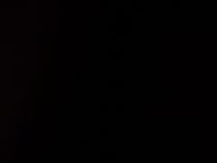 -醉得意·山茶油炒土鸡(泰安火车站大润发店)