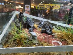 -凯德广场(学府店)