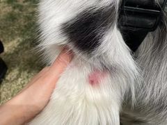 -达爱动物医院·犬猫分区·CT·复杂眼科(远洋山水分院)