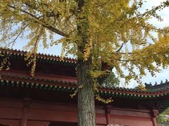 -四祖寺